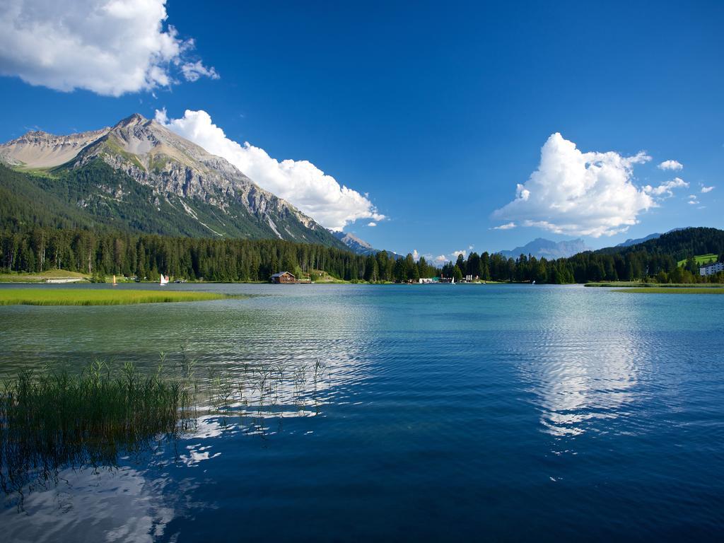 Schweizerhof Ferienwohnungen Lenzerheide 1 외부 사진